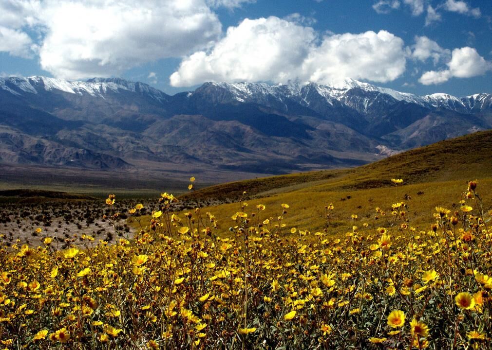 #38. Inyo County
